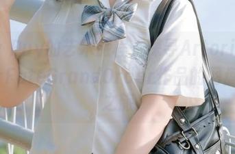 Puy Puy的艺术旅程：探寻ArtoriaLancerFateGrandOrder作品的网盘下载之旅